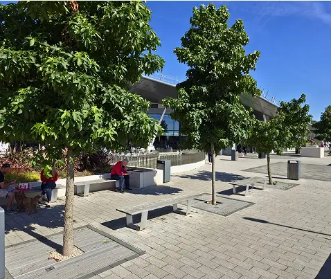 Water drainage challenge